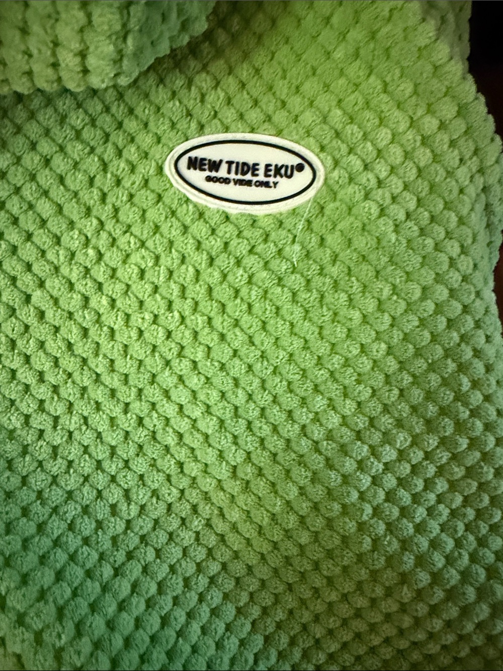Cozy Lime Plush Hooded Zip-Up Sweatshirt - Picture 5 of 8